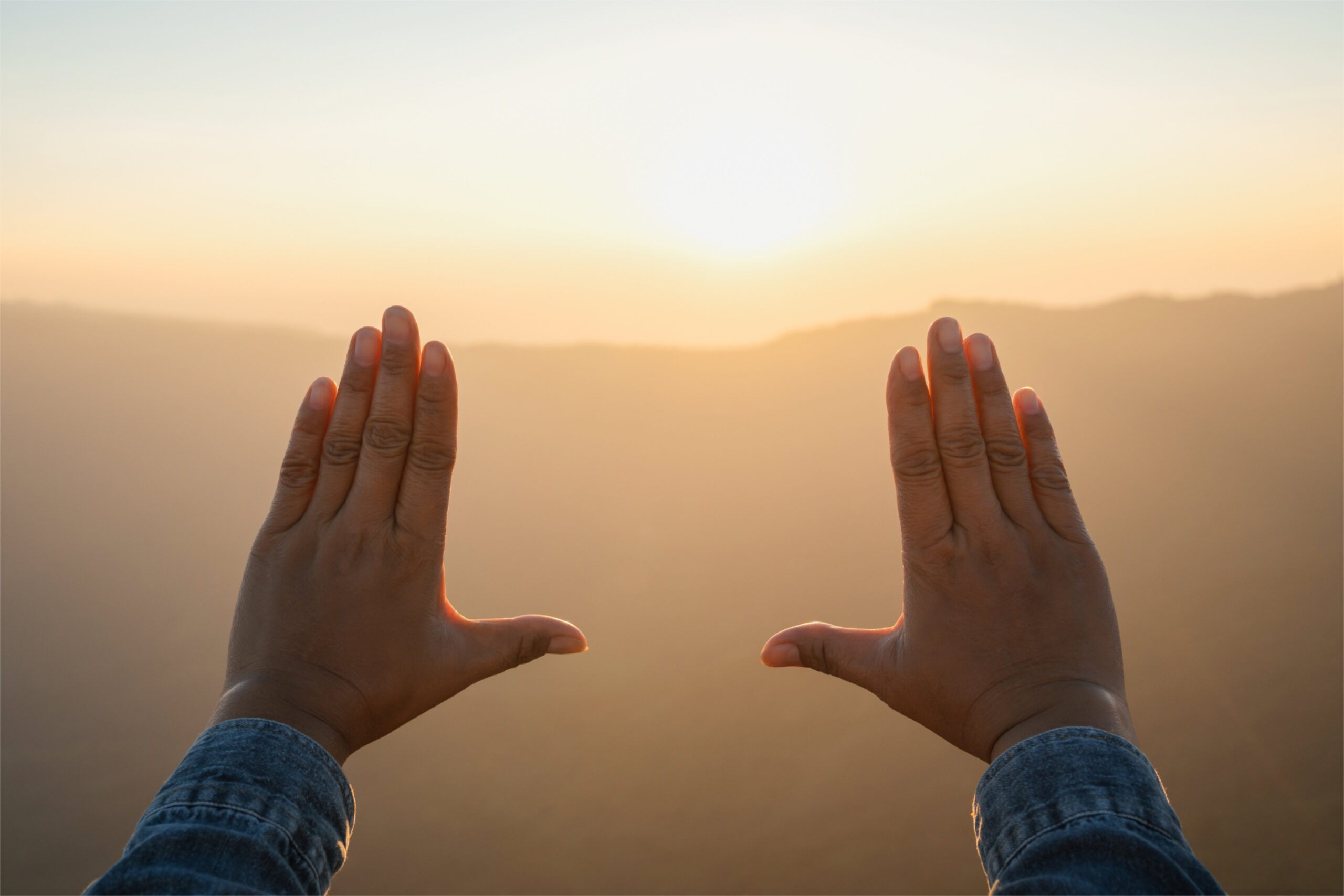 Therapy and Consulting Services